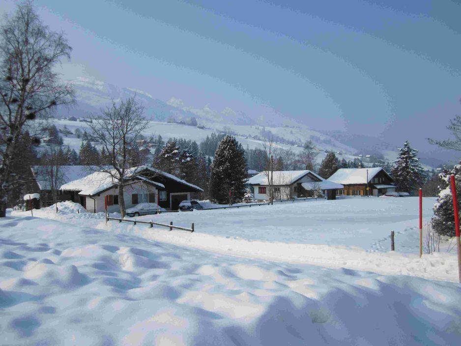 Wildhaus